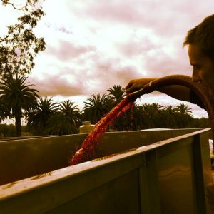 Craig doing a pumpover vintage 2015