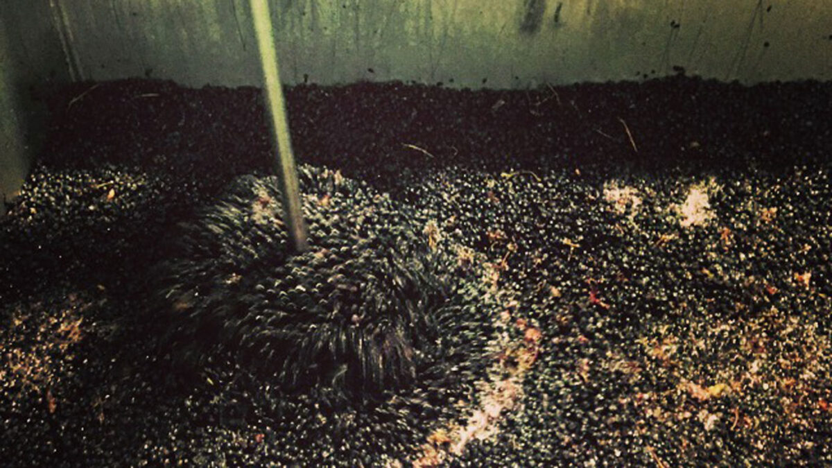 Izway Wines
