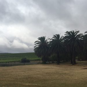 spring rain clouds