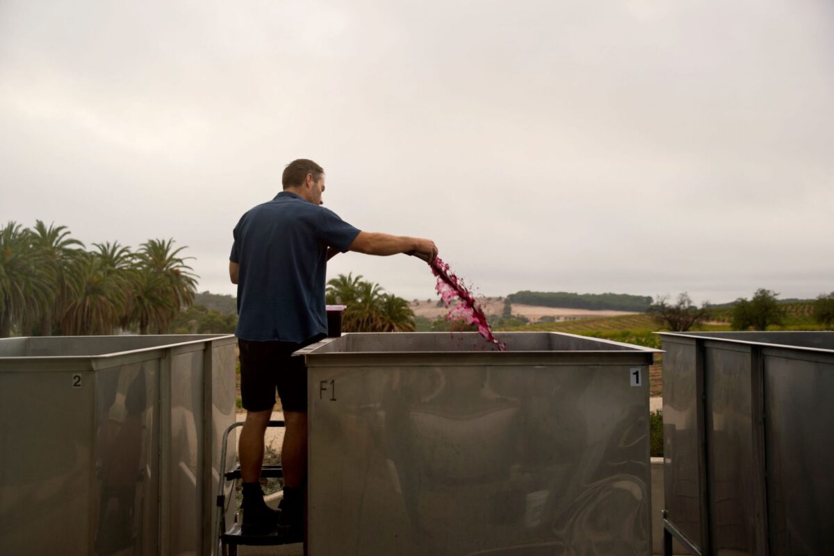 Izway Winemaker Craig pumping over wine in fermenters