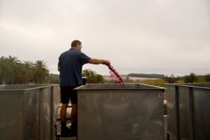 Winemaking